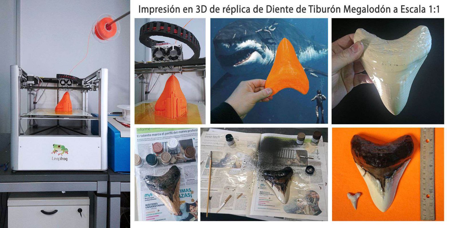 Paleontology and reconstruction